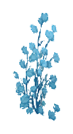 望穿秋水露