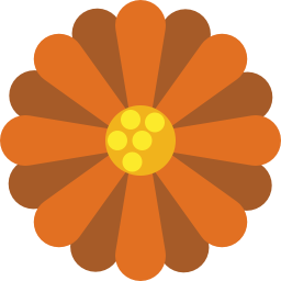 flower_daisy_orange