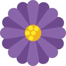 flower_daisy_purple