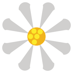 flower_daisy_white