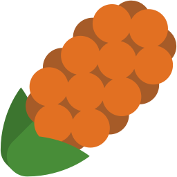 flower_hyacinth_orange