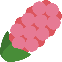 flower_hyacinth_pink