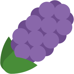 flower_hyacinth_purple