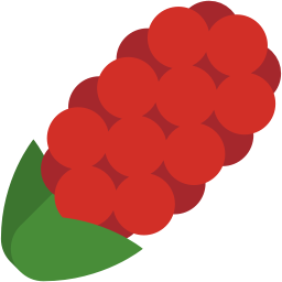 flower_hyacinth_red