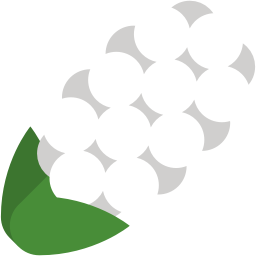 flower_hyacinth_white