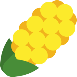 flower_hyacinth_yellow