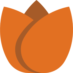 flower_tulip_orange