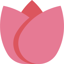 flower_tulip_pink