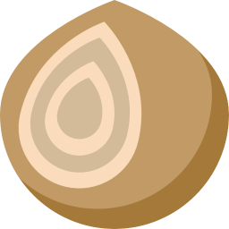food_onion