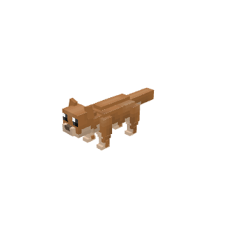 斑斓猫.json