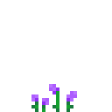 Flower_10