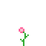 Flower_1