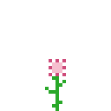 Flower_3