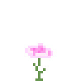 Flower_5