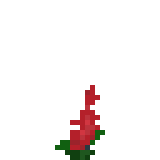 Flower_6