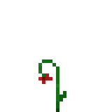 Flower_7
