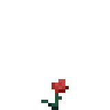 Flower_8
