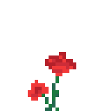Flower_9