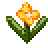 resources_expor_200percent_1_6