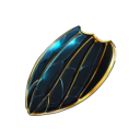 beetle_shell