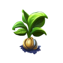 little_ent_seed