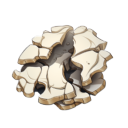 sand_digger_bone