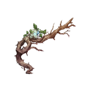 strange_ent_branch