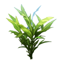 sweet_vanilla