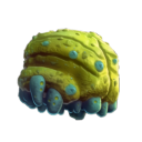 water_sac