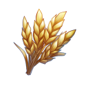wheat