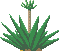 Nature_22