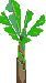Nature_38
