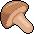 I_C_Mushroom