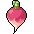 I_C_Radish