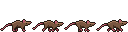 Rat-Brown_Walk