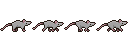 Rat-LightGrey_Walk
