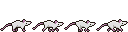 Rat-White_Walk