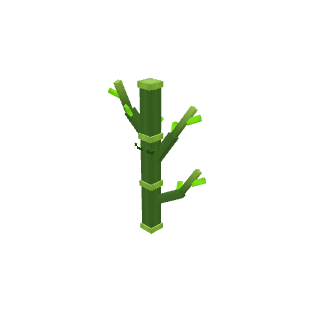 孤竹.json