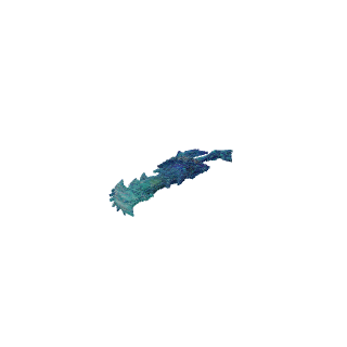 item19.json