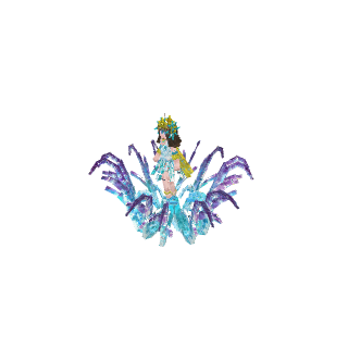 冰雪女王.model.json