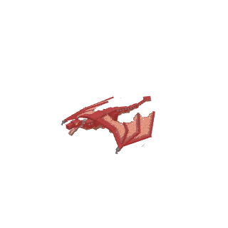 魔蜥龙.json
