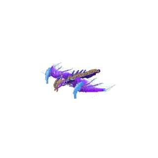 紫飞龙.model.json