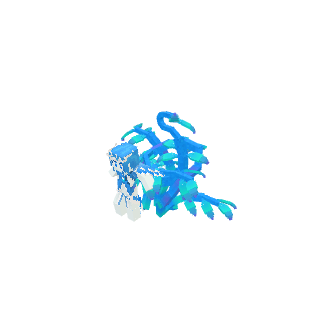 蓝银皇.json