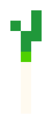 葱.png