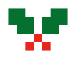 冬青.png