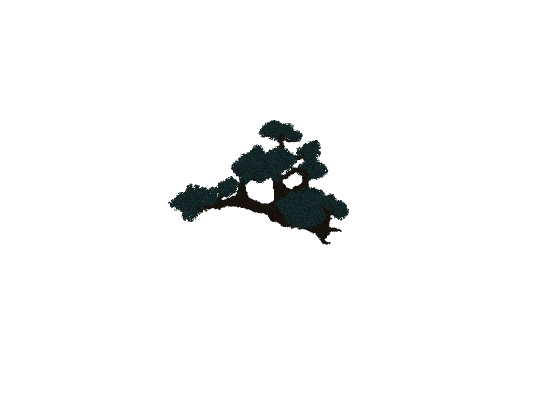 盆景状巨树