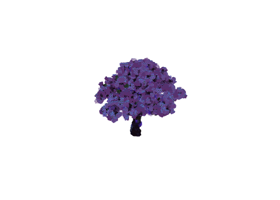 樱花树1