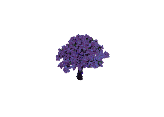 樱花树2