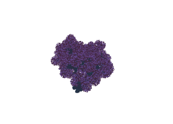 巨型樱花树