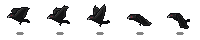 Crow Preview_1_1